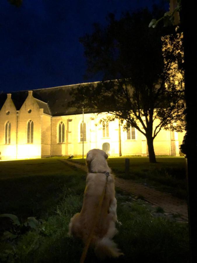 Dreischor De Drei Schorre Bed & Breakfast エクステリア 写真